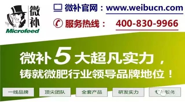 余教授奧地利維也納行：不懂音樂的農(nóng)民教授，在音樂之都的感受